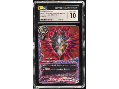 N095 Future Card Buddyfight 鑑定收藏卡