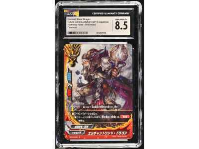 N098 Future Card Buddyfight 鑑定收藏卡