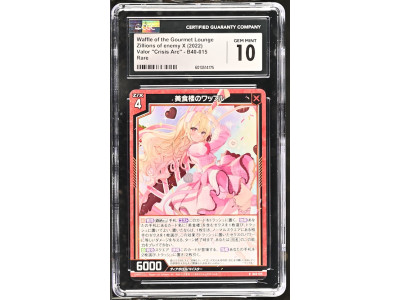 N117 Zillions of enemy X 鑑定收藏卡