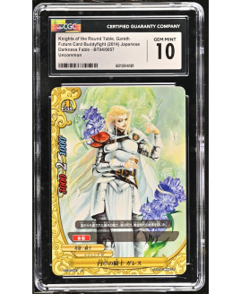 N088 Future Card Buddyfight 鑑定收藏卡