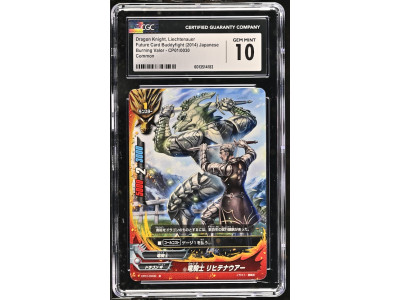 N090 Future Card Buddyfight 鑑定收藏卡