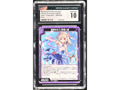 N120 Zillions of enemy X 鑑定收藏卡