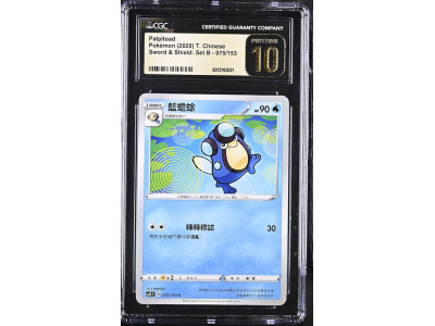 P138Pokémon 鑑定收藏卡