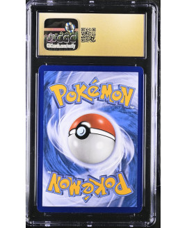 P131Pokémon 鑑定收藏卡