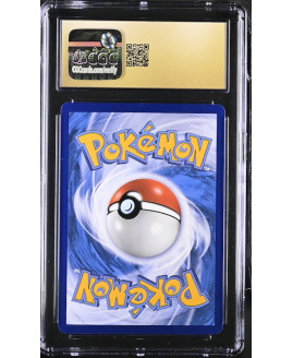 P137Pokémon 鑑定收藏卡