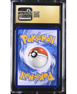 P132Pokémon 鑑定收藏卡