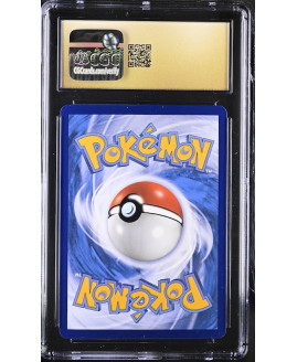P140Pokémon 鑑定收藏卡
