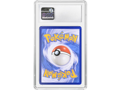 寶可夢鑑定收藏卡 Pokémon Mysterious card